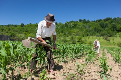 agricultura.jpg
