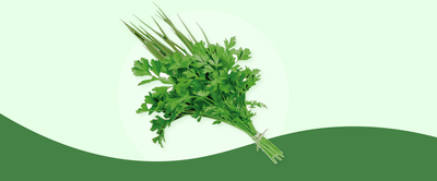 Cheiro verde_1280x530px.png