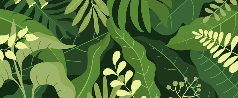PANCS 3_1280x530px.png