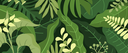 PANCS 3_1280x530px.png