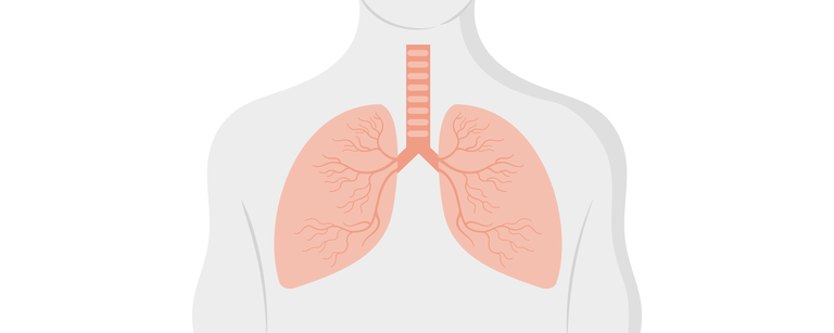 Texto 11 - Você sabe o que é a Doença Pulmonar Obstrutiva Crônica-01