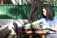 Mais alimentos in natura e minimamente processado, menos obesidade e doenças