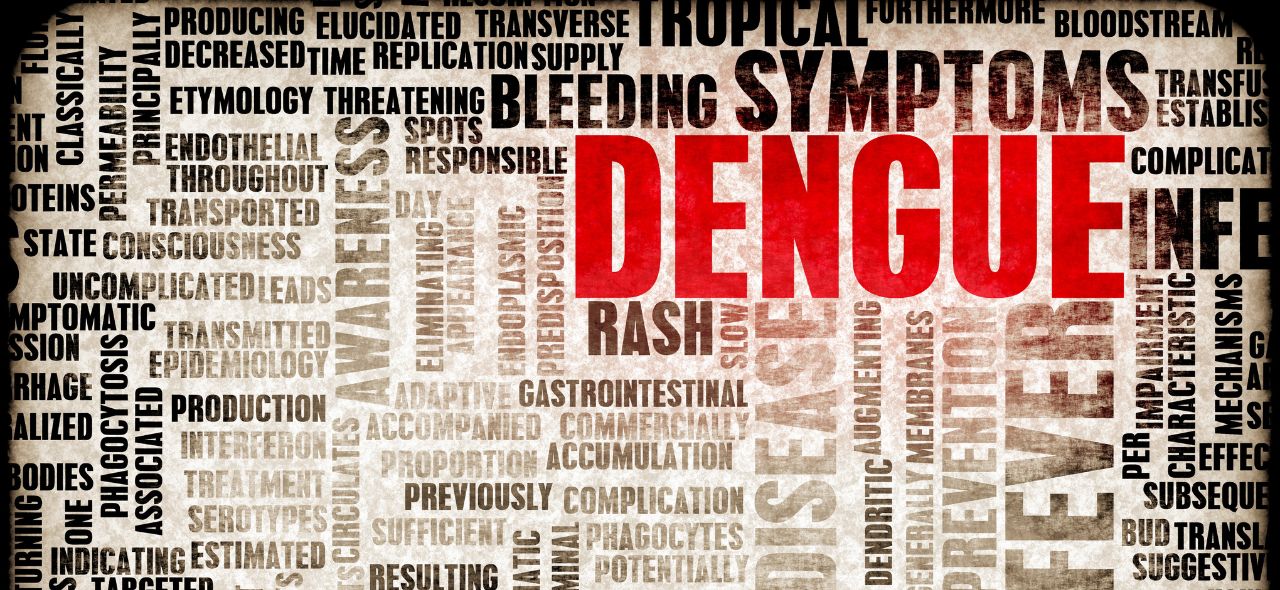 O termo surge frequentemente em conteúdos falsos sobre a vacina contra covid-19 (10).jpg