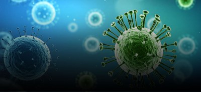 Não há risco de nova pandemia com vírus Nipah