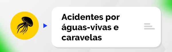 Acidentes por águas-vivas e caravelas