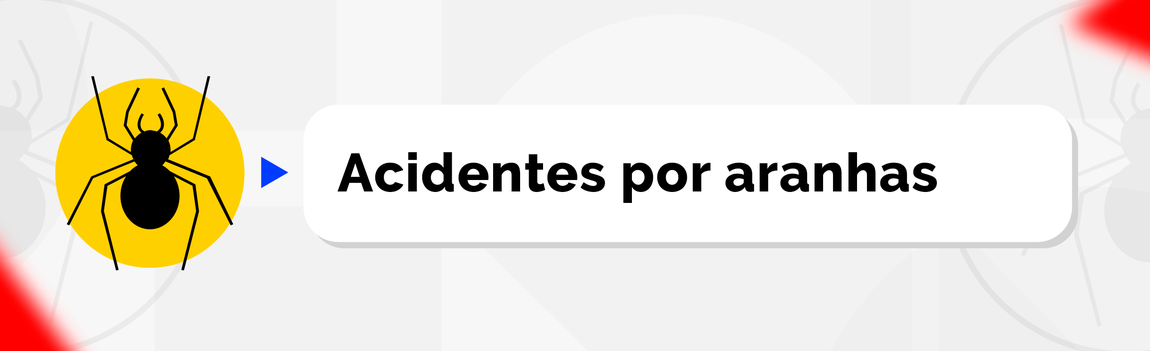 Acidentes por Aranhas