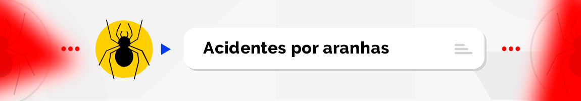 Acidentes por Aranhas