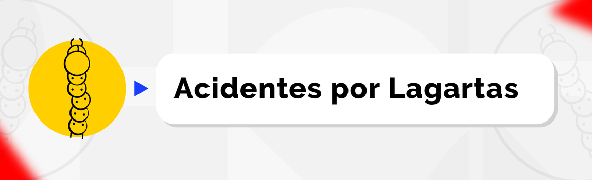 Acidentes por Lagartas