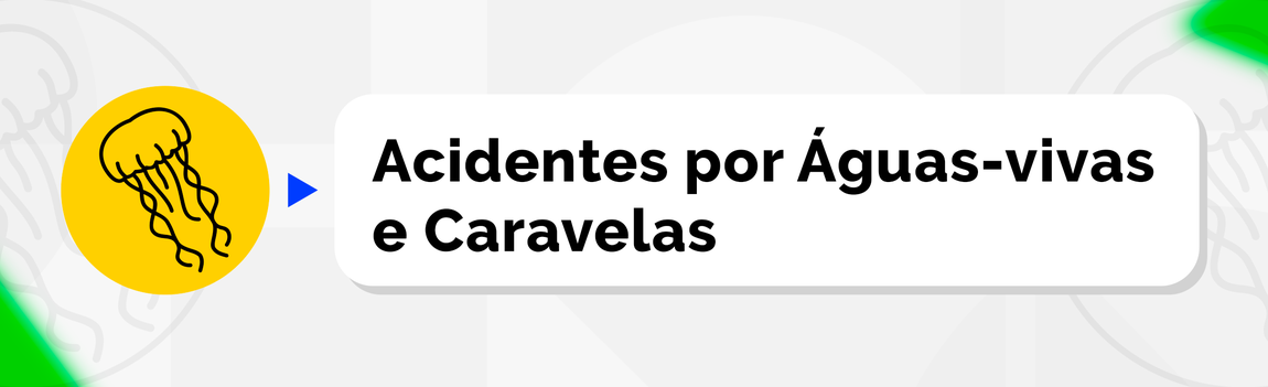Acidentes por águas-vivas e caravelas