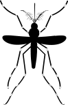 chikungunya.png