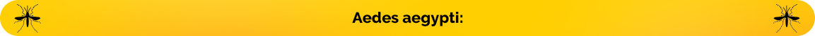 titulo-aedes.png
