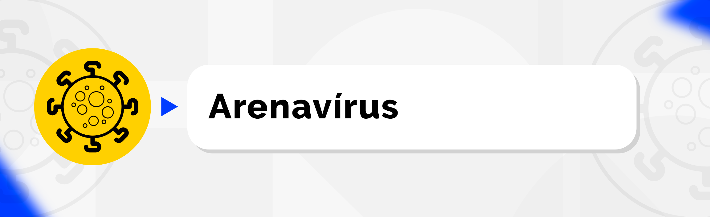 Arenavírus