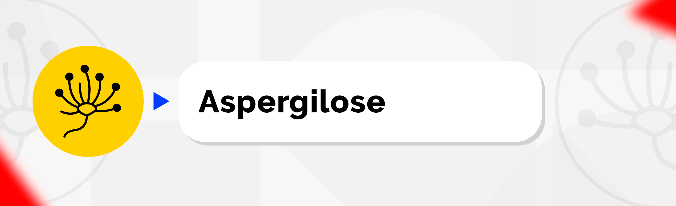 Aspergilose