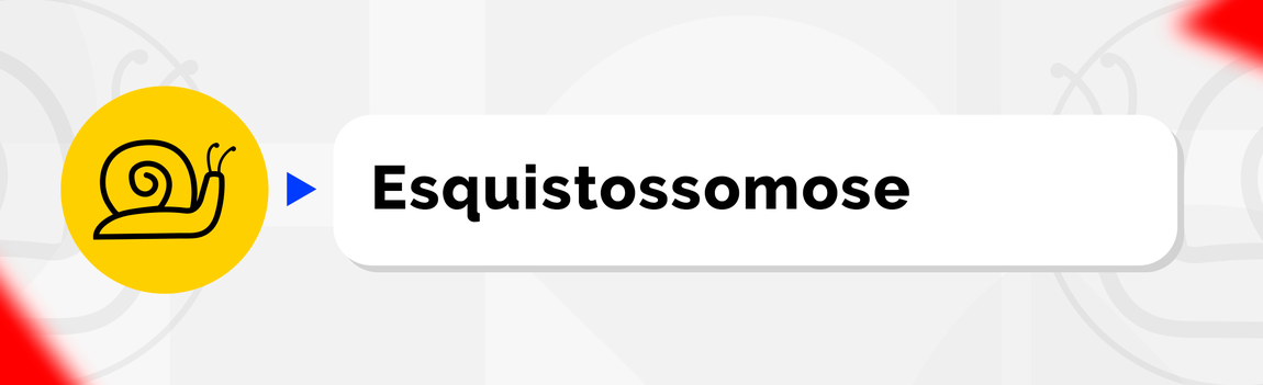Esquistossomose