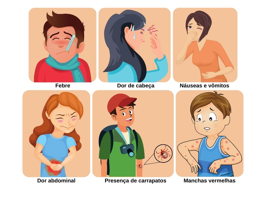 Sintomas da Febre Maculosa.jpg