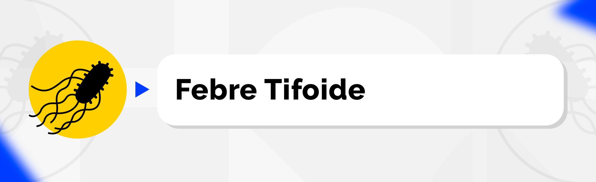 Febre Tifoide