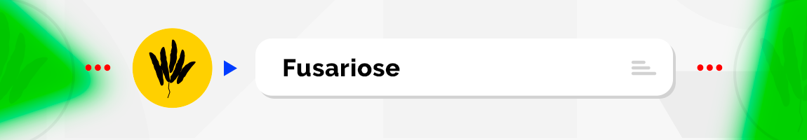 Fusariose