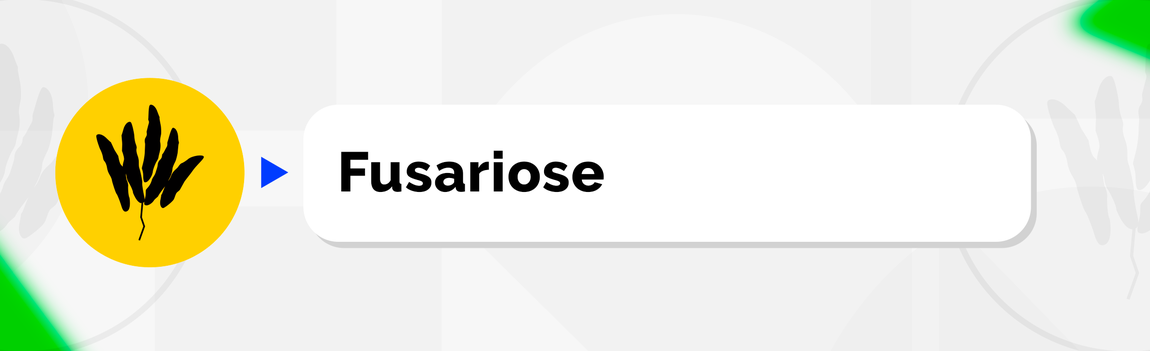 Fusariose