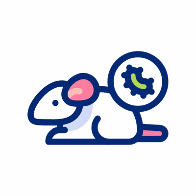 rato-importante.gif
