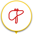 aumento-bac╠ºo-icon.png