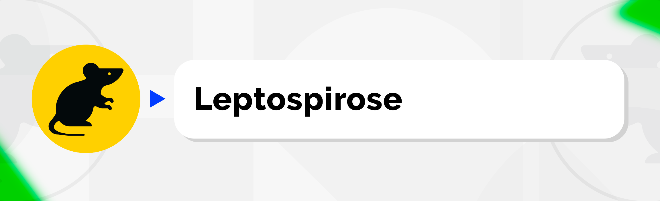 Leptospirose