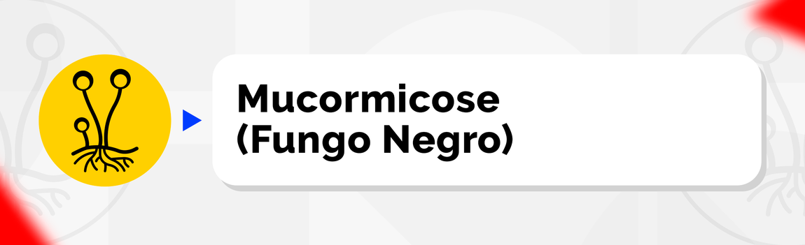 Mucormicose (Fungo Negro)