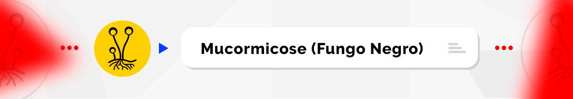 Mucormicose (Fungo Negro)