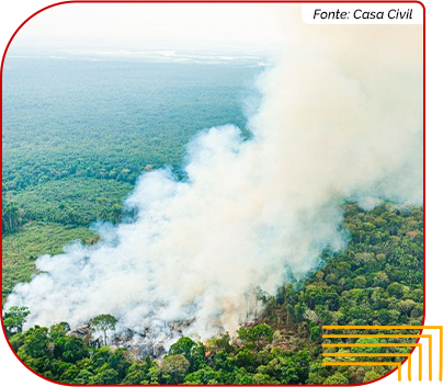 Queimada na floresta