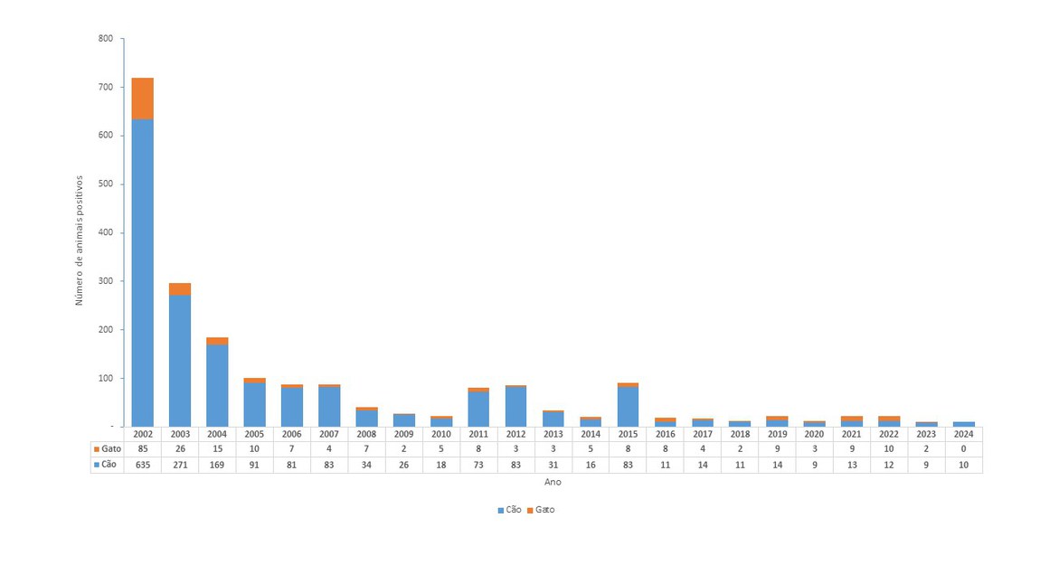 Gráfico com número de casos de raiva animal em cães e gatos, ​Brasil, 2002 a 2024*