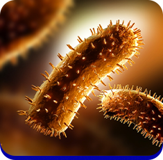 Foto do vírus da raiva