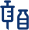 vacina icon