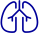 icone-pulmao.png