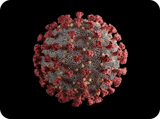 Imagem virus sinicial