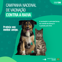 Card Vacinação .png