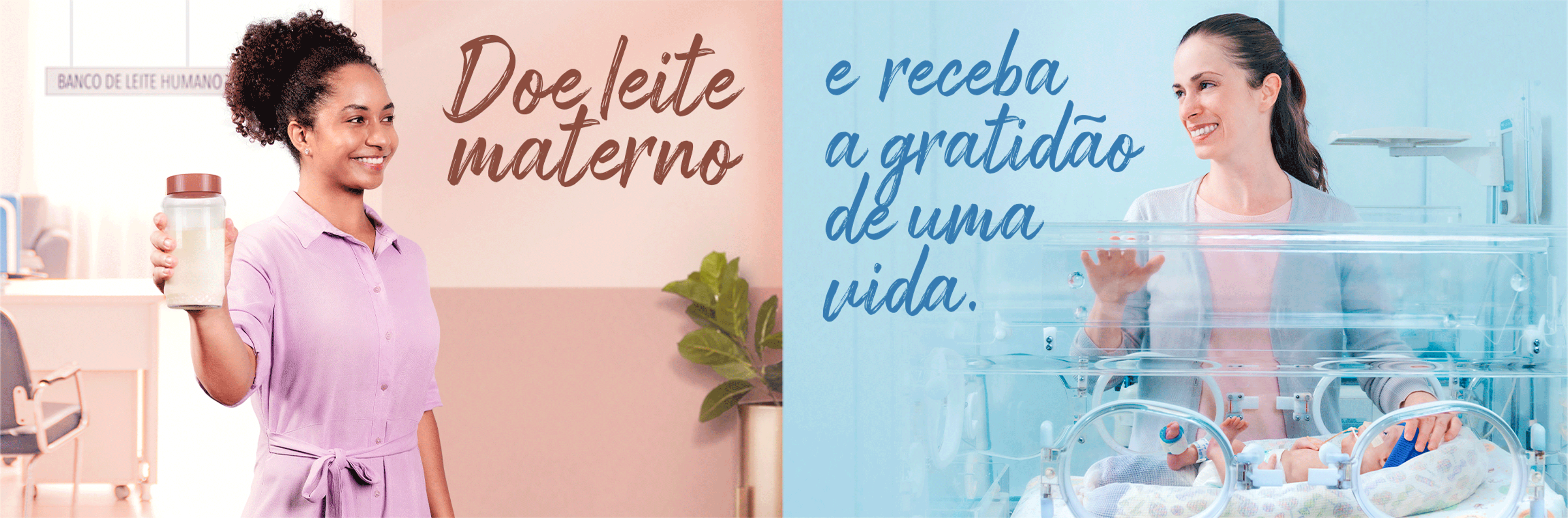 Doação de leite materno