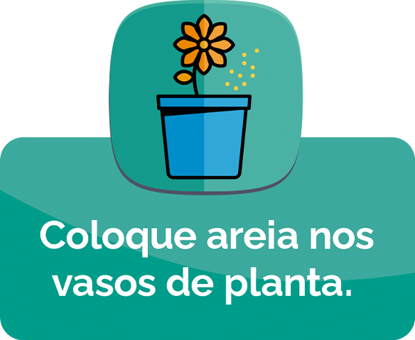 vasos de planta