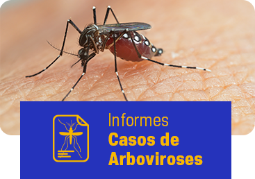 Acesse os Informes dos Casos de Arboviroses