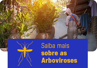 Saiba mais sobre as Arboviroses