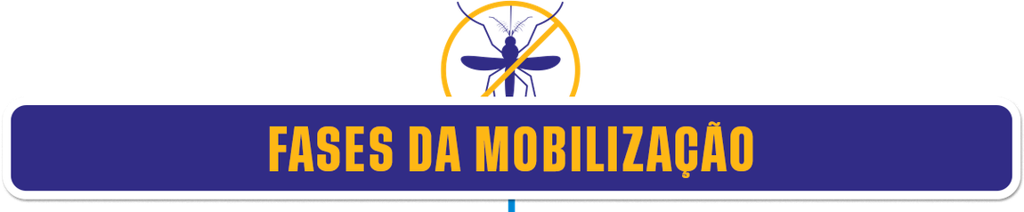 Fases da Mobilização