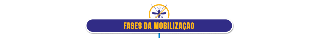 Fases da Mobilização