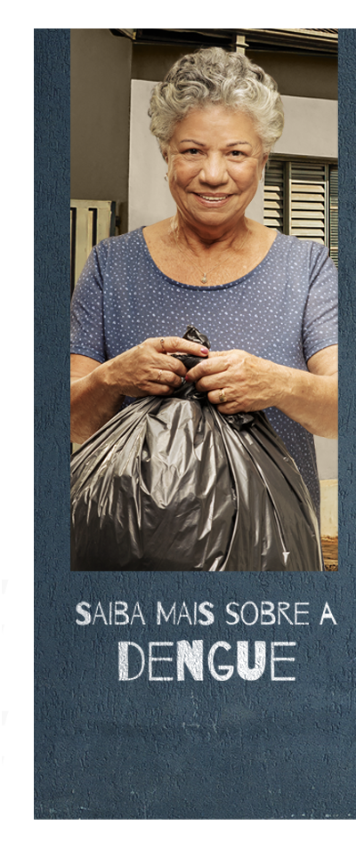 Saiba mais sobre a dengue