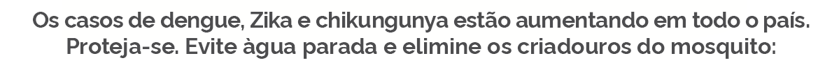 Os casos de Dengue
