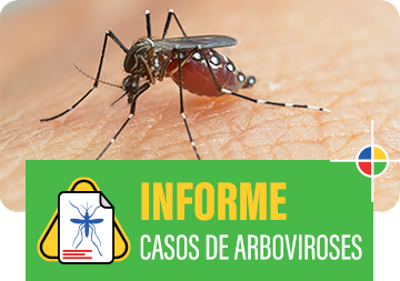 Acesse os Informes dos Casos de Arboviroses