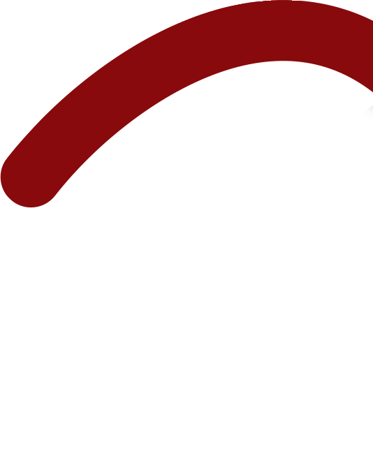 LAÇO PONTA ESQUERDA.png