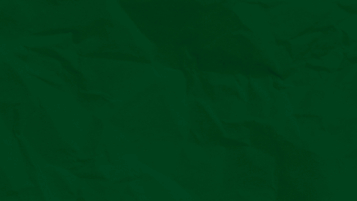 BG VERDE COM TEXTURA.png