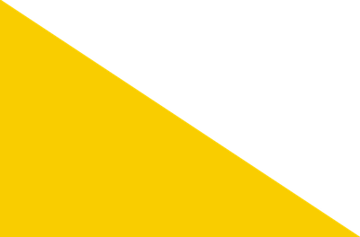 bg amarelo v2.png
