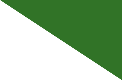 bg verde.png