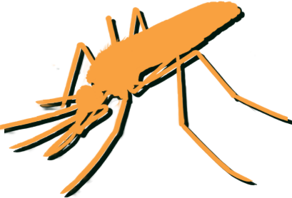 Vírus da Malária