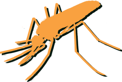mosquito.png