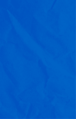 bg azul.png
